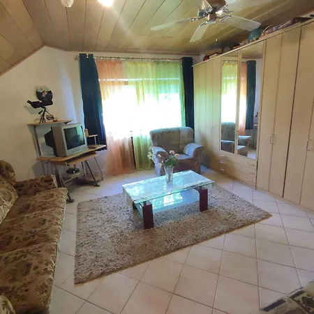 In - Balaton 50631 *