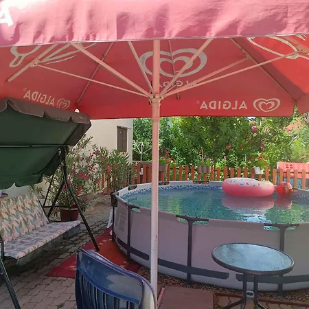 In - Balaton 50631 希欧福克